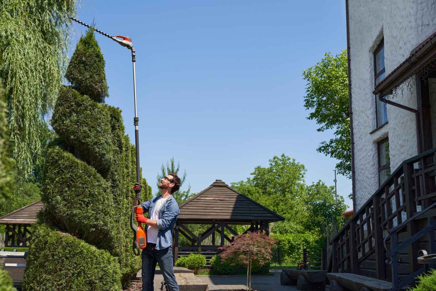 Best Tree Care Services  in Avenel, NJ